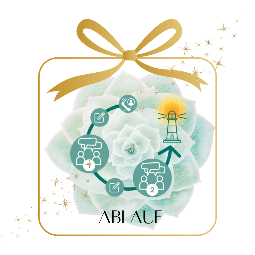 Sukkulenz Coaching – Einzelbegleitung mit Britta Jörg (online) – Bild 2